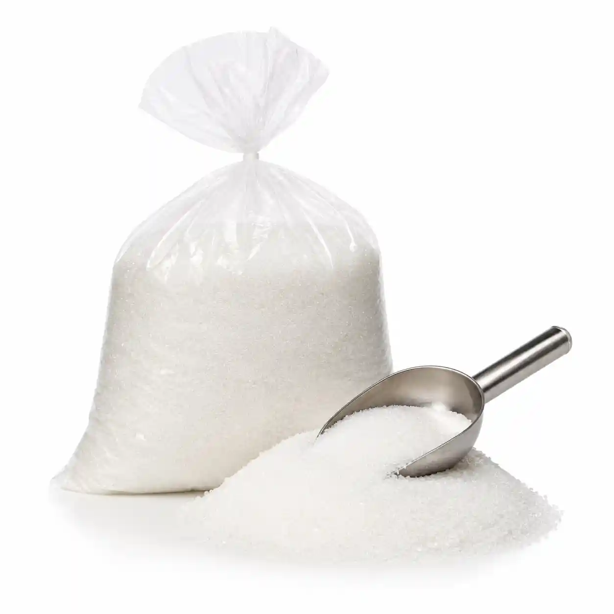 Sal Fina